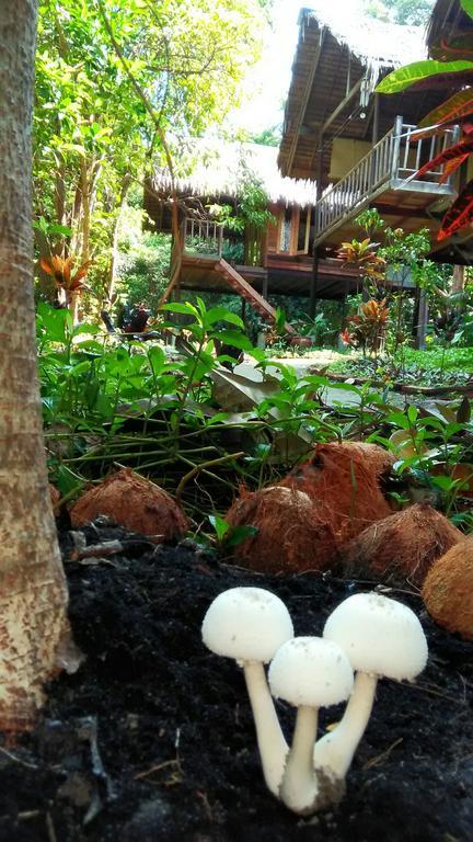 Kafair Hut (Adults Only) Hotel Koh Lipe Bagian luar foto