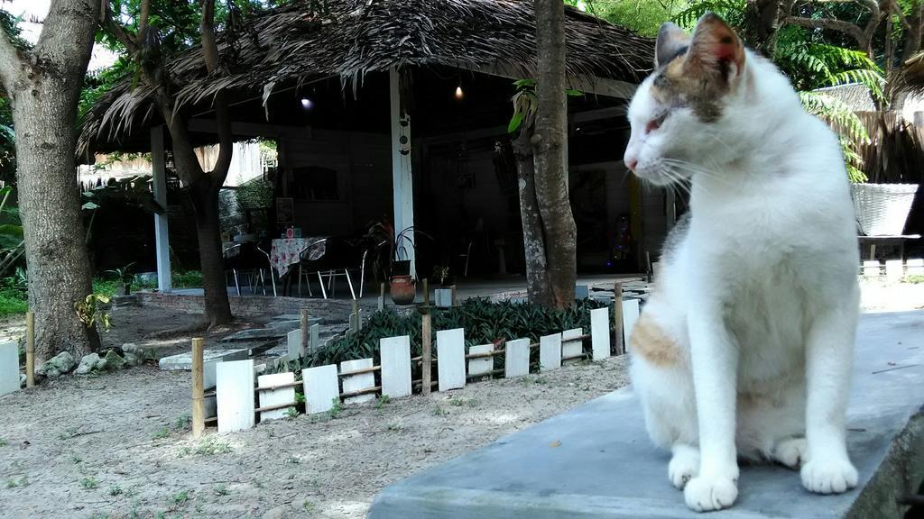 Kafair Hut (Adults Only) Hotel Koh Lipe Bagian luar foto